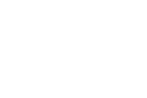 peugeot icon png (1)